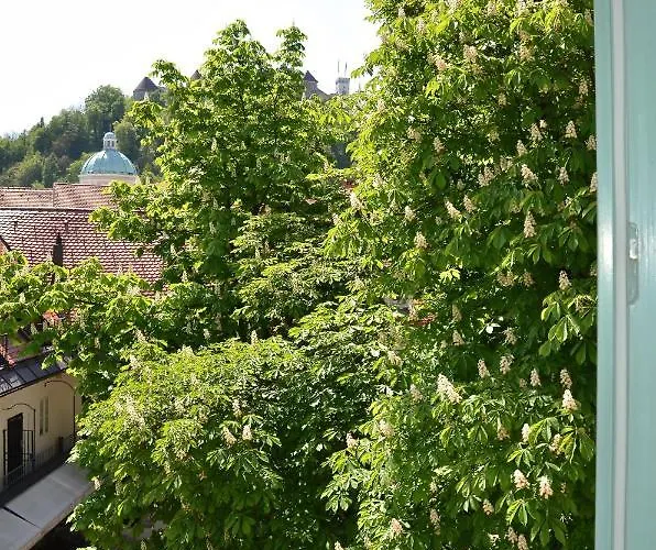 I Design * Ljubljana